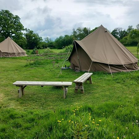 Gaggle Of Geese Pub - Shepherd Huts & Bell Tents Dorchester Exteriér fotografie